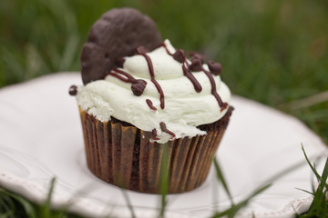 Delicious chocolate mint cupcake with miniature chocolate chips sprinkled on top outside on a vintage plate in tall new spring green grass