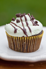 Delicious chocolate mint cupcake with miniature chocolate chips sprinkled on top with a green background