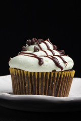 Delicious chocolate mint cupcake with miniature chocolate chips sprinkled on top on a vintage antique china plate on a black background