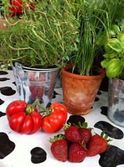 Mi pequeño jardín.