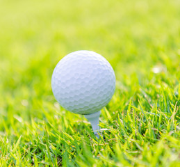 Golf ball on green grass