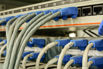 ethernet cables connected to computer  internet server