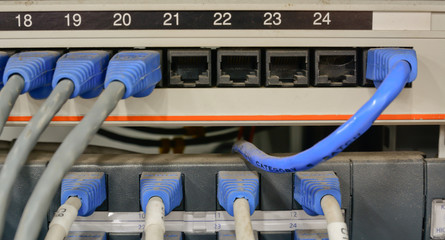 ethernet cables connected to computer  internet server