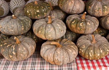 Pumpkin in market, Thailand