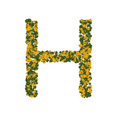 Letter H made from green and yellow bell peppers