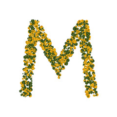 Letter M made from green and yellow bell peppers