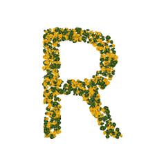 Letter R made from green and yellow bell peppers