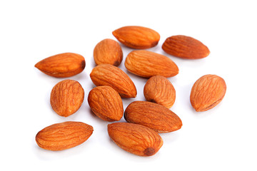 Almond nut seed