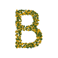 Letter B made from green and yellow bell peppers