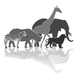 Afrikanische Tierwelt