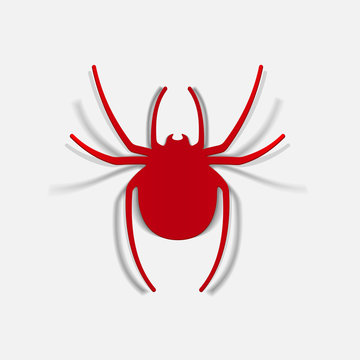 realistic design element: spider