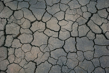 Dry soil cracking