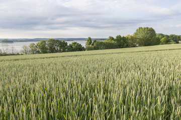 Kulturlandschaft in der Uckermark