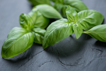 Close-up of fresh green basil leaves over black wooden surface