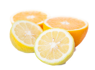 still life of cut oranges and lemons