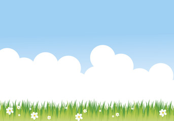 Obraz premium Prato fiorito