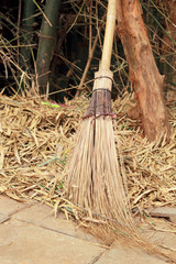 A coconut broom with bamboo tree in nature.