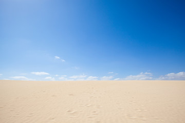 Fototapeta na wymiar in the dunes