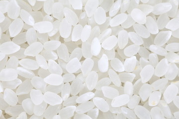 Close - up japanese uncooked white rice