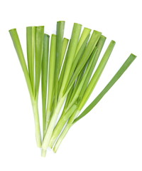 fresh green leek