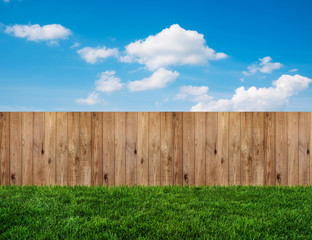 Fototapeta premium backyard in summer