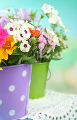 Bouquet of colorful flowers in decorative buckets,