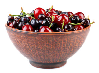 Summer berries in color bowl isolated on white