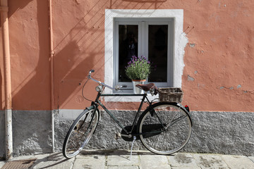 Fototapeta na wymiar The bike in front of the window