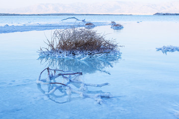 Beautiful coast of the Dead Sea . - Powered by Adobe
