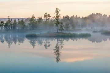 Cercles muraux Lac / étang matin brumeux