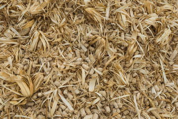 The group of dried corncobs after harvest