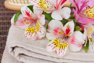 Obraz na płótnie Canvas spa setting with alstroemeria flowers