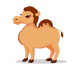 Illustration of cute camel