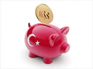 Turkey Dollar Sign Concept Piggy Concept