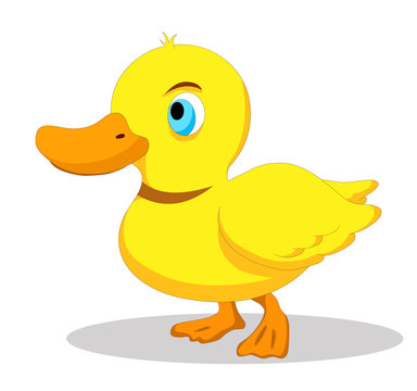 Illustration of cute duck