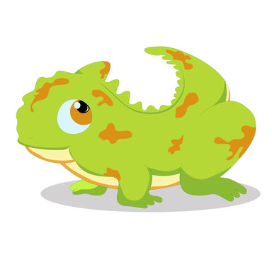 Illustration of cute gecko