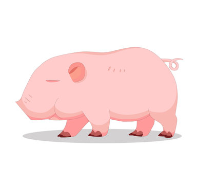 Illustration of cute pigless
