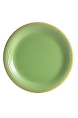 light green and yellow dish on white background