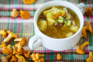 vegetable soup with chanterelle mushrooms