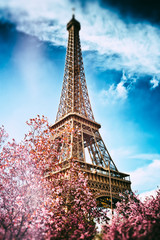 Wiosna w Paryżu. Wieża Eiffla - 66529849
