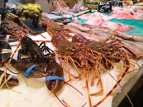 Langusten auf dem Markt in Mallorca