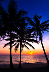 Naklejka na ściany i meble sunset on the beach. Palm trees silhouette on sunset tropical b