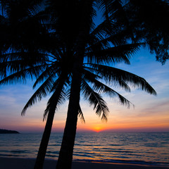 Obraz na płótnie Canvas sunset on the beach. Palm trees silhouette on sunset tropical b