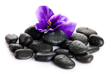 Zen pebbles. Stone spa