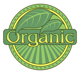 Organic Green Design With Leaf Border