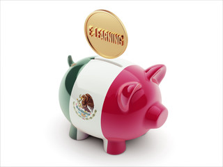 Mexico. E-Learning Concept Piggy Concept