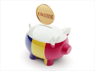 Romania E-Learning Concept Piggy Concept