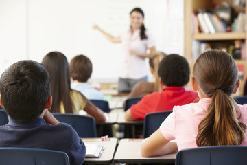 Teacher and schoolchildren in class