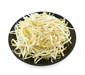 Bean Sprouts in the black plate