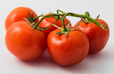 fresh tomatoes